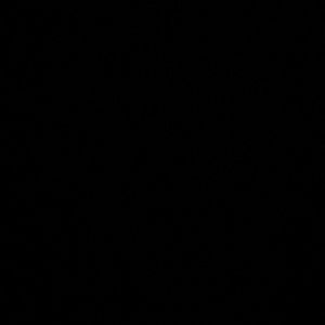 Meet your Posher, Briana